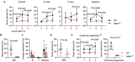 Nat Aging：王建伟团队发现dna损伤促进造血干细胞衰老的潜在新机理medsci