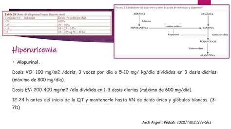 S Ndrome De Lisis Tumoral En Paciente Pediatrico Ppt