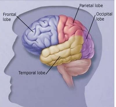 types  seizures types