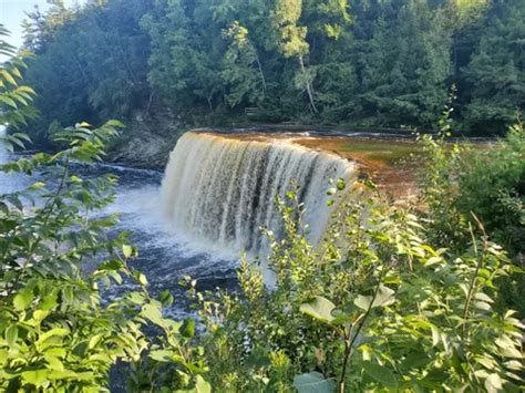 10 Best Hikes and Trails in Tahquamenon Falls State Park | AllTrails