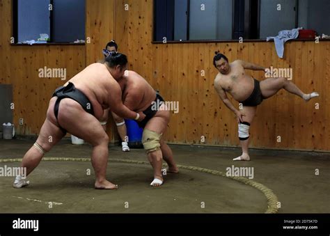 Japanese Sumo wrestlers training inside a traditional Sumo stable in early morning.Koto City ...