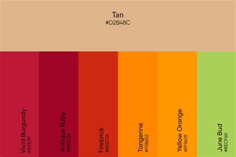 Tan Color Its Meaning Codes And Top Palette Ideas Picsart Blog