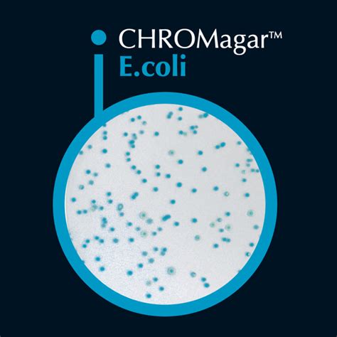 CHROMagar E Coli Labchem Catalog