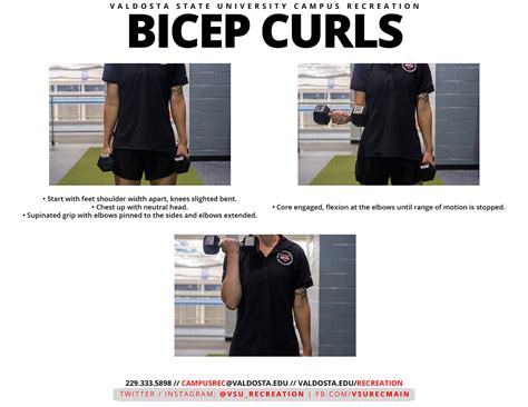 Bicep Curl