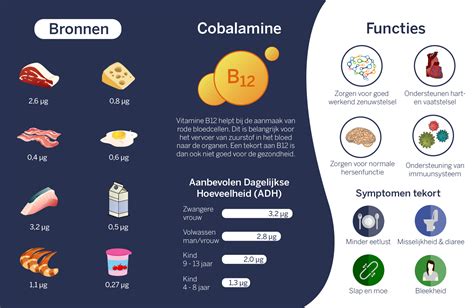 Welke Vitamines Zijn Goed Voor Vrouwen