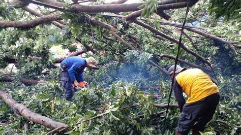 Angin Kencang Hantam Depok Pohon Hingga Panggung Pengajian Roboh