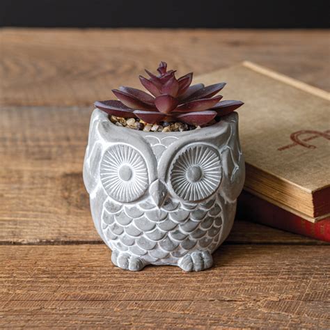 Farmhouse Rustic Owl With Succulent