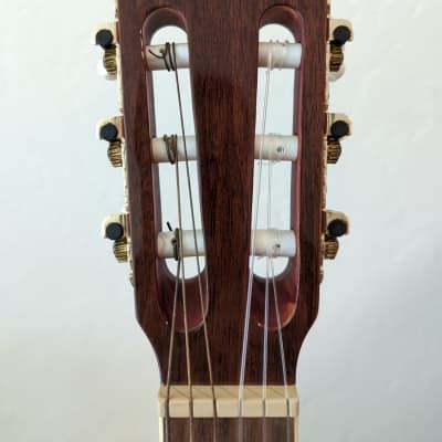 Ibanez AEG10NII TNG Nylon String Cutaway Acoustic Electric Reverb