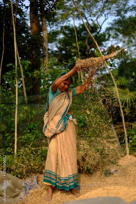 Village Woman Separating Chaff From Grain By Winnowing Process South