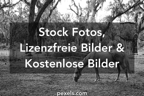 Die Besten Insperity Timestar Logika Fotos · Kostenlos Downloaden