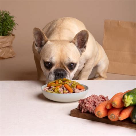 Best French Bulldog Foods: Healthy & Happy Pets Guide