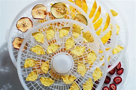 How To Dehydrate Lemons In A Dehydrator Storables