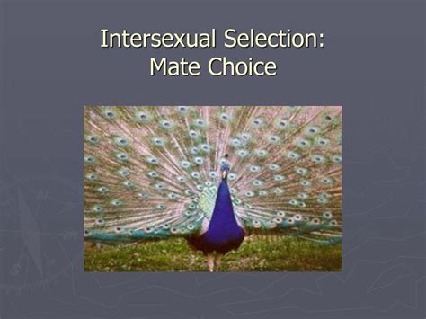 Sexual Selection Ppt Download