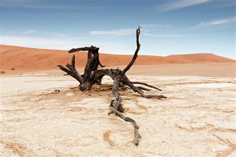 Dead Vlei In Namib Desertnamibiaafrica Photograph By Tjeerd Kruse Fine Art America