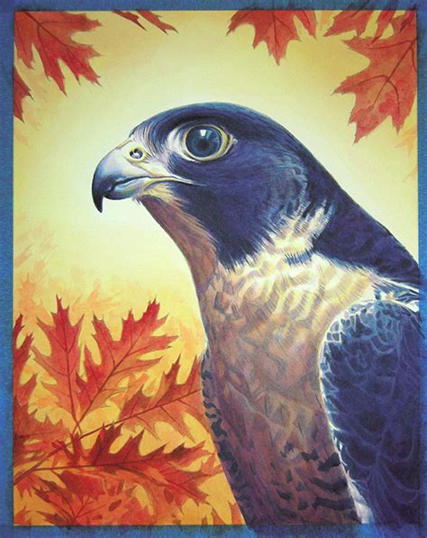 Alan Hawley Illustration Falcon Acrylic Process