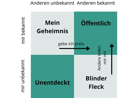 Johari Fenster Erkl Rt Definition Beispiele Bungen Hermoney