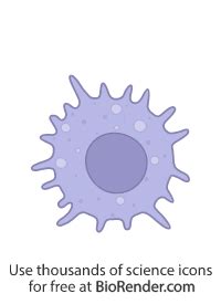 Free Macrophage Activated Icons Symbols Images Biorender