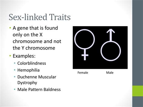 Ppt Sex Linked Traits Powerpoint Presentation Id Hot Sex Picture