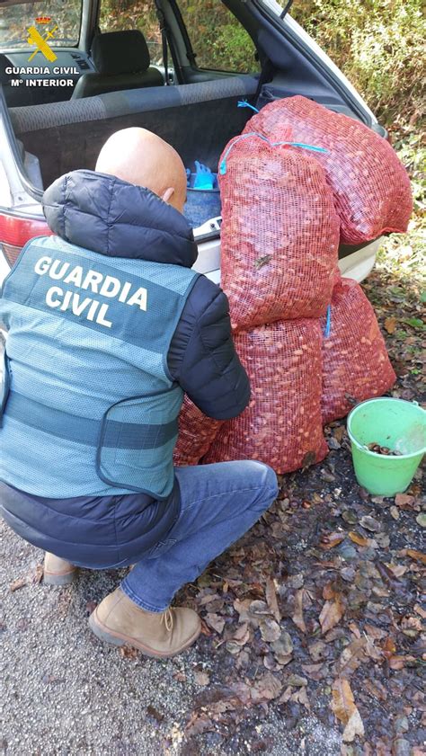 La Guardia Civil Investiga A Dos Ladrones Tras Sorprenderles Con