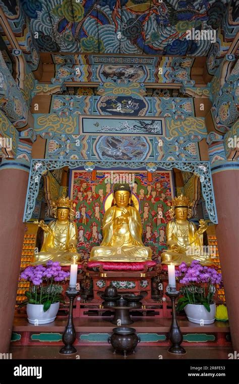 Busan Südkorea 30 Mai 2023 Der Beomeosa Tempel ist ein