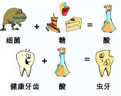 蛀牙是怎么形成的ppt蛀牙是如何产生的 正数办公