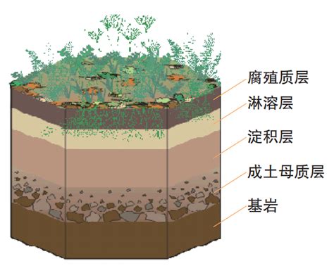 【地理拓展】农业土壤与农业地理中国新浪新闻