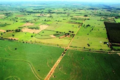 Produtores Rurais J Podem Entregar Notas Do Dipam Em Andradina