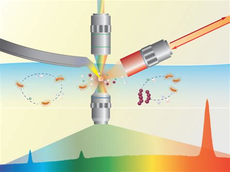 Bigtuna Bioimaging Tool Helps Researchers See Eurekalert