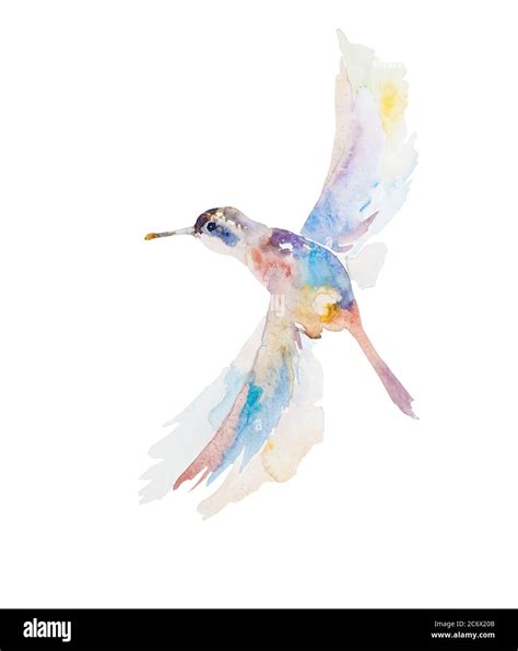 Abstract watercolor painting of small flying humming bird isolated on ...