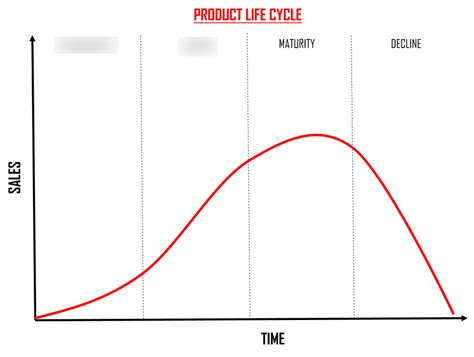 product life cycle Diagram | Quizlet