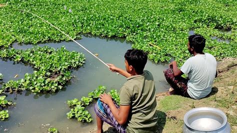 Best Hook Fishing Video Traditional Hook Fishing In Village River