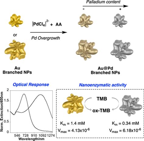 Synthesis And Structural Characterization Of Branched Bimetallic Aupd