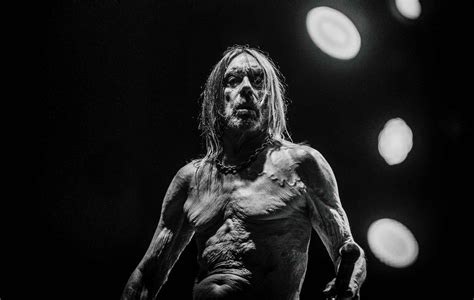listen  iggy pops raw  song frenzy