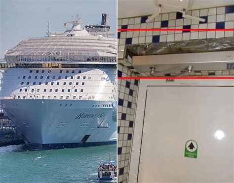 Passenger arrested after hidden camera found in cruise ship bathroom - National | Globalnews.ca