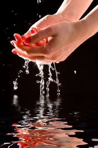 Clean Hands And A Pure Heart Kjv Saadarmor