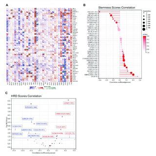 The Relationship Between Fdx Expression And Immune Checkpoints