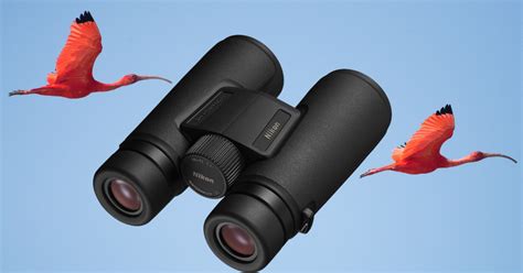 7 Best Compact Binoculars For Birding In 2025 Small Binoculars For