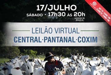 LEILÃO VIRTUAL Q12 Central Leiles