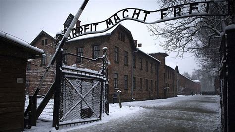 BBC Radio 5 Live 5 Live In Short Auschwitz A Survivor S Tale