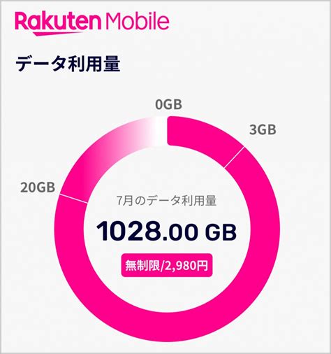 楽天モバイルを1000gb使った結果→ 速度制限の恐怖→ 衝撃の結末 連載jp