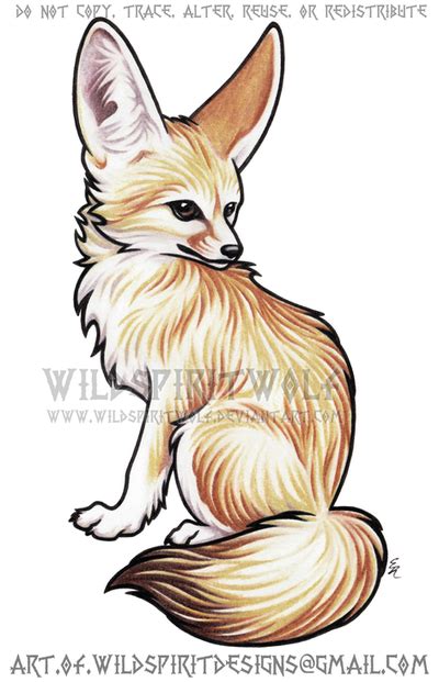 Fennec Fox Color Design Commission by WildSpiritWolf on DeviantArt