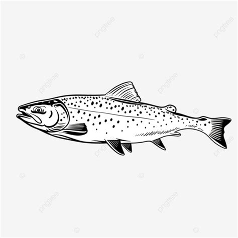 Milkfish Fish Clipart Png Vector Psd And Clipart With Transparent