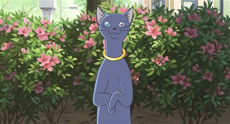 猫の恩返し スタジオジブリ｜studio Ghibli