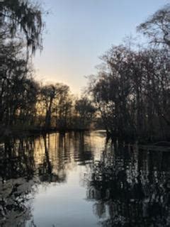 Camping with History: Manatee Springs - Kate Dolan - Award-Winning Author