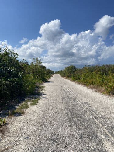 2023 Best Trails Walks And Paths In Cayman Islands Alltrails