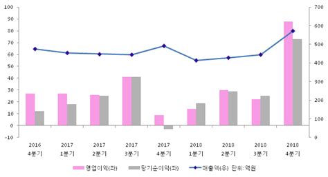 Et투자뉴스 안국약품 18년4분기 실적 발표 전자신문