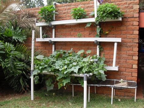 Clip-on Hydroponic Wall Garden : 16 Steps (with Pictures) - Instructables