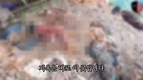 지옥은 바로 이 곳개∙고양이 1256마리 굶겨 죽인 60대 최후 중앙일보