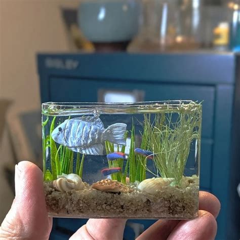 Miniature Aquarium Etsy