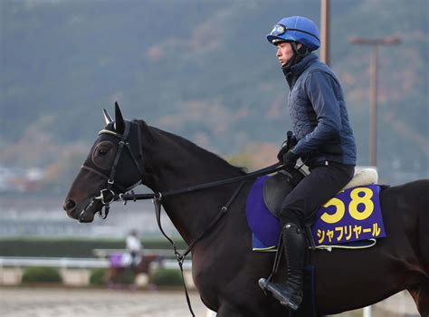 【ジャパンc】シャフリヤール藤原英師「今回は一番適性がある舞台」昨年3着の雪辱へ良馬場希望 競馬写真ニュース 日刊スポーツ